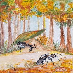 Monique Turino - la voix des contes - Les fourmis dans la forêt d'automne