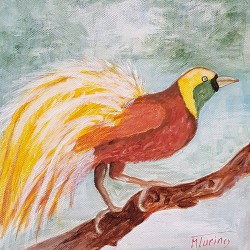 Monique Turino - la voix des contes - L'oiseau de paradis